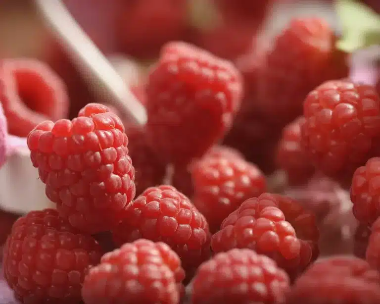 Frozen raspberries ready for baking and smoothie recipes, highlighting freshness.