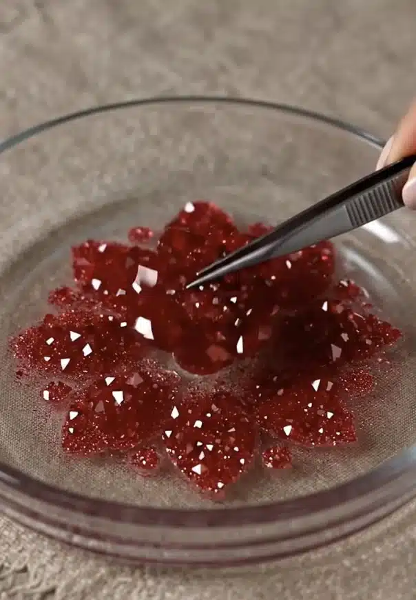 Crystal Growing Flower