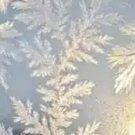 Stunning frozen bubbles reflecting winter sunlight in a snowy landscape