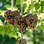 Valentine-themed bird seed feeders enhance nature and attract colorful birds.